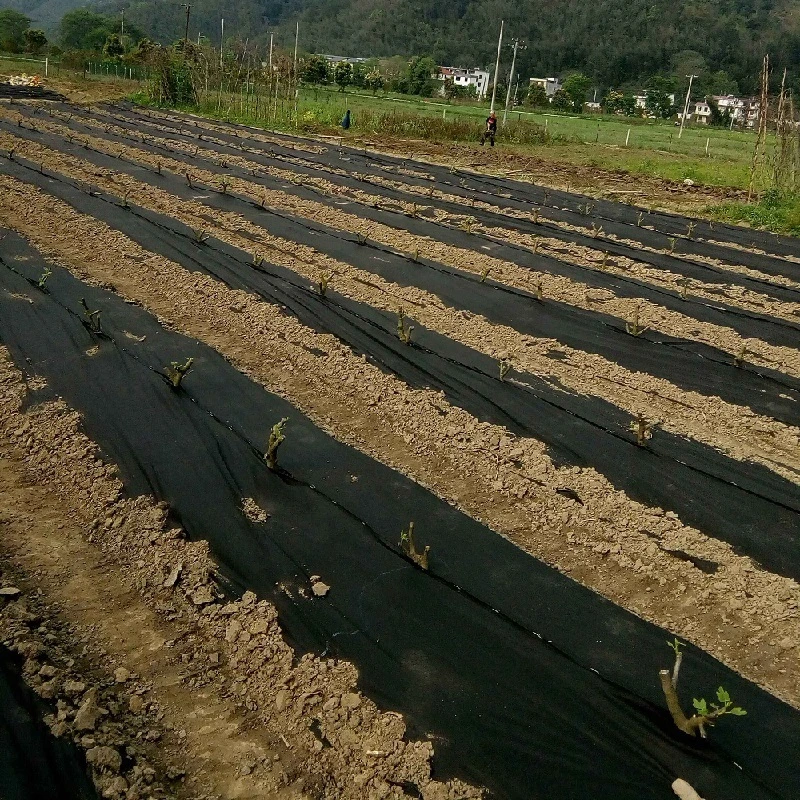 PP Woven Geotextile Drainage Fabric Mat Ground 4m x 50m Anti Weed 0