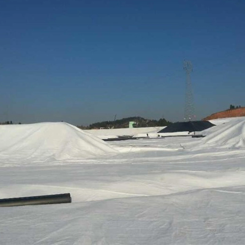 Geosynthetics Material Non Woven Geotextile Fabric PET 2