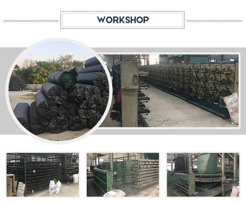 Stabilization PP Geotextile Geogrid Woven Fabric For Soil Reinforcement Product 4