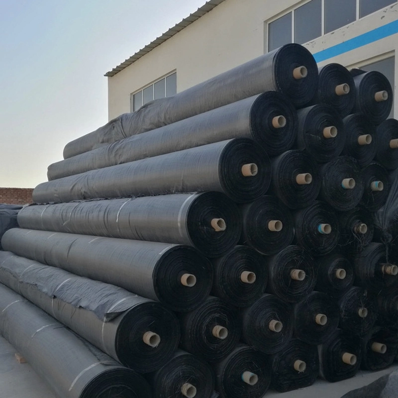 Stabilization PP Geotextile Geogrid Woven Fabric For Soil Reinforcement Product 5