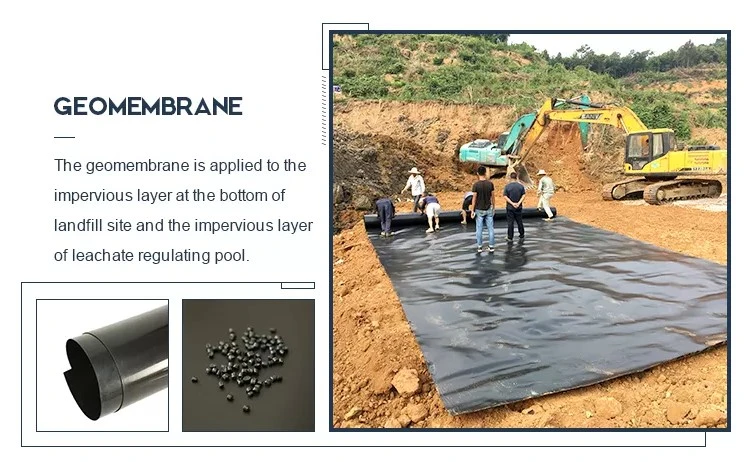 Anti Seepage Waterproof Impermeable HDPE Geomembrane 0.2mm - 2.5mm For Landfill 4
