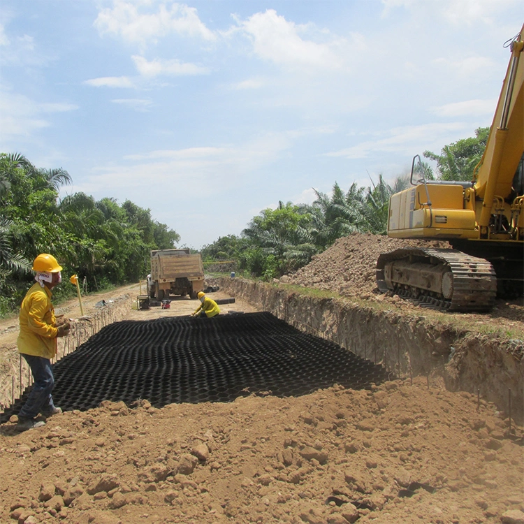 Corrosion Resistant HDPE Plastic Geocell Ground Grid Used In Road Construction 5