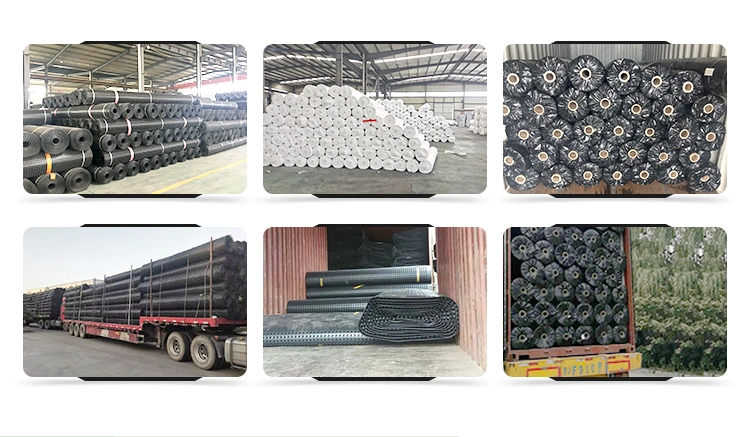 Warp Knitted Polyester Woven PET Biaxial Geogrid For Roadbase Reinforcement 5