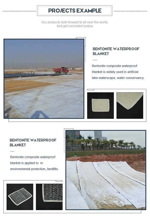 Waterproof Sodium Bentonite Liner Geosynthetic Clay Liners For Landfill Project 4
