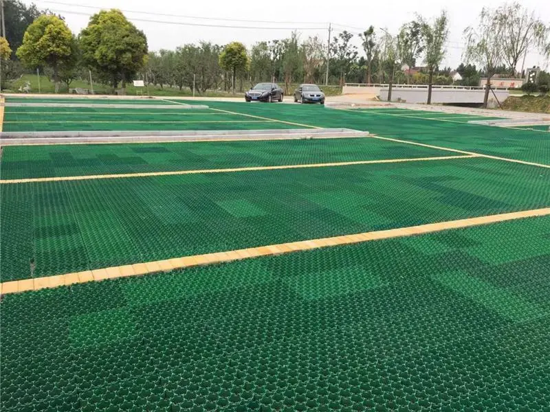 High Quality Plastic Grass Grid / Landscape Turf Grass Paver 3