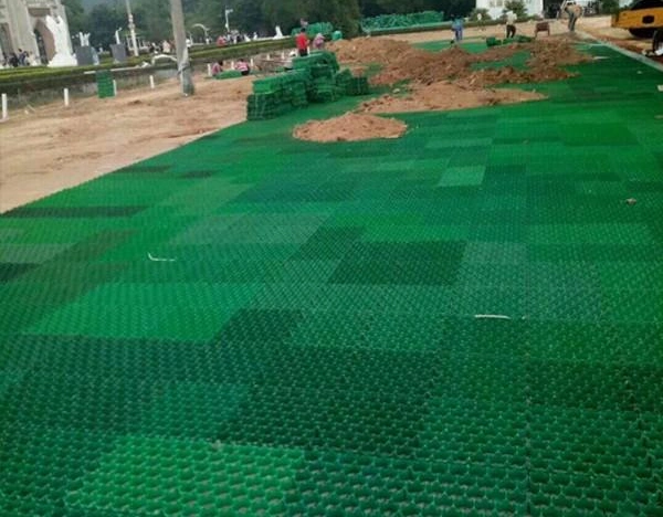 High Quality Plastic Grass Grid / Landscape Turf Grass Paver 4