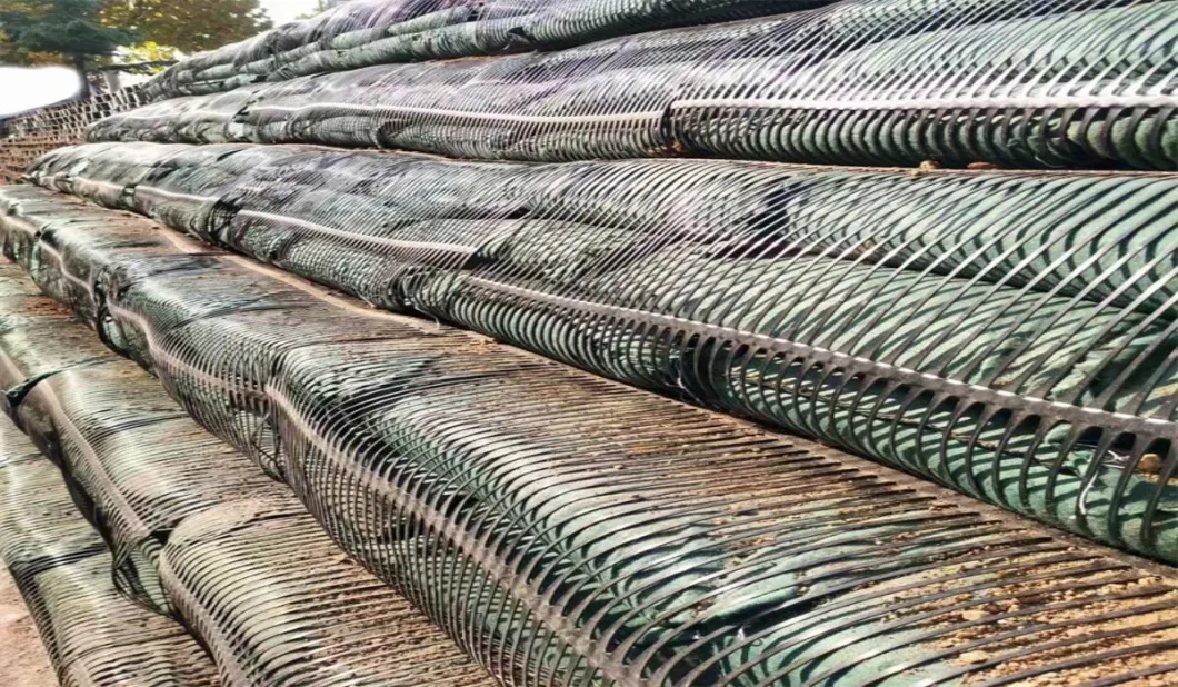 Pp Uniaxial Plastic Geogrid Pe One-Way Geogrid Uniaxial Polyester Geogrid Gravle Grid Ground 14