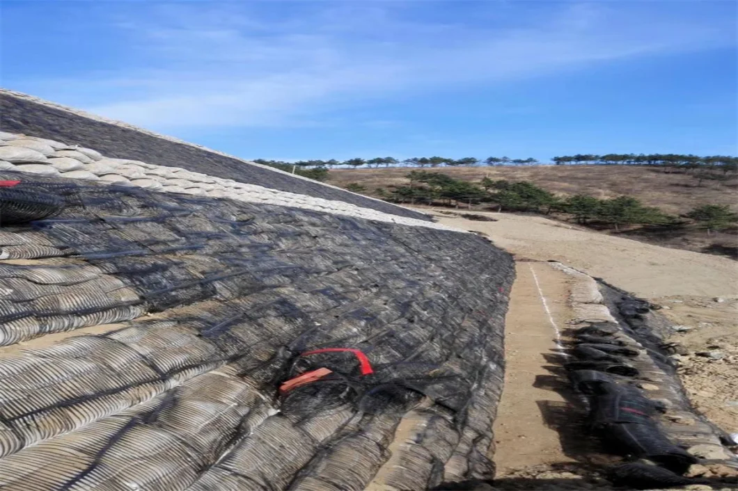 Geo Grid Ground Grid Plastic Uniaxial Polyester Geogrid Uniaxial Gravle Grid Ground For Driveway Basement 0