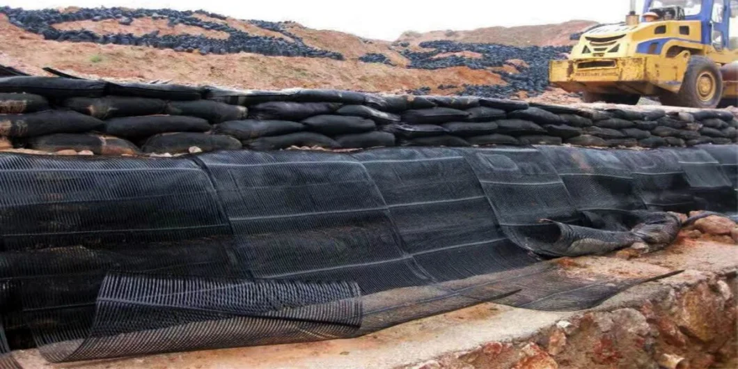 Geo Grid Ground Grid Plastic Uniaxial Polyester Geogrid Uniaxial Gravle Grid Ground For Driveway Basement 1