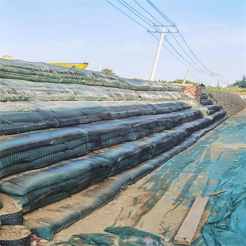 Geo Grid Ground Grid Plastic Uniaxial Polyester Geogrid Uniaxial Gravle Grid Ground For Driveway Basement 9