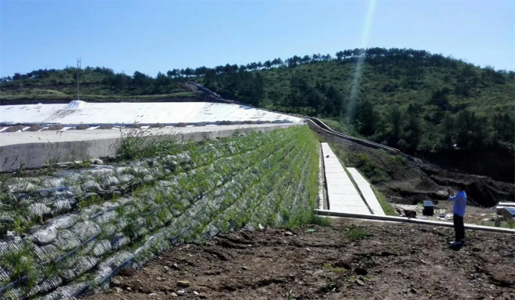 Geo Grid Ground Grid Plastic Uniaxial Polyester Geogrid Uniaxial Gravle Grid Ground For Driveway Basement 13