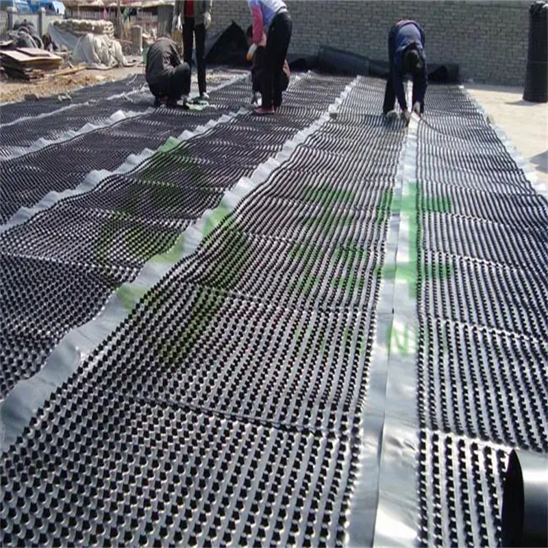 Dimpled Drainage Membrane Greening Project PVC Perforated Dimple Drainage Board Groundwork Water Solution Water Solution 15