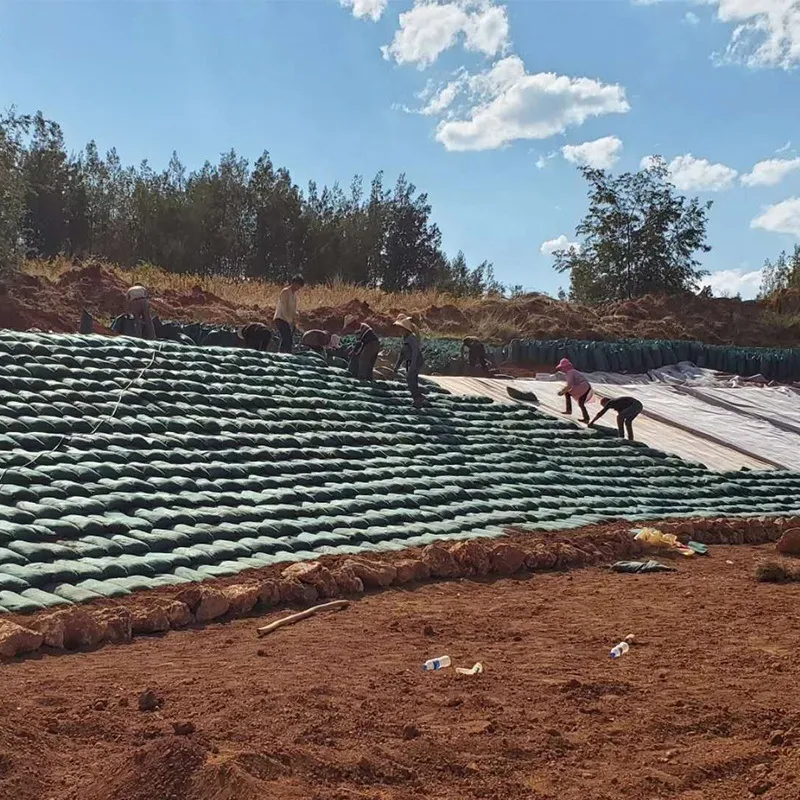 Nonwoven Geobag Polyester / PP Geobag For Slope Protection And Grass Dam To Protect Ecological Environment 10