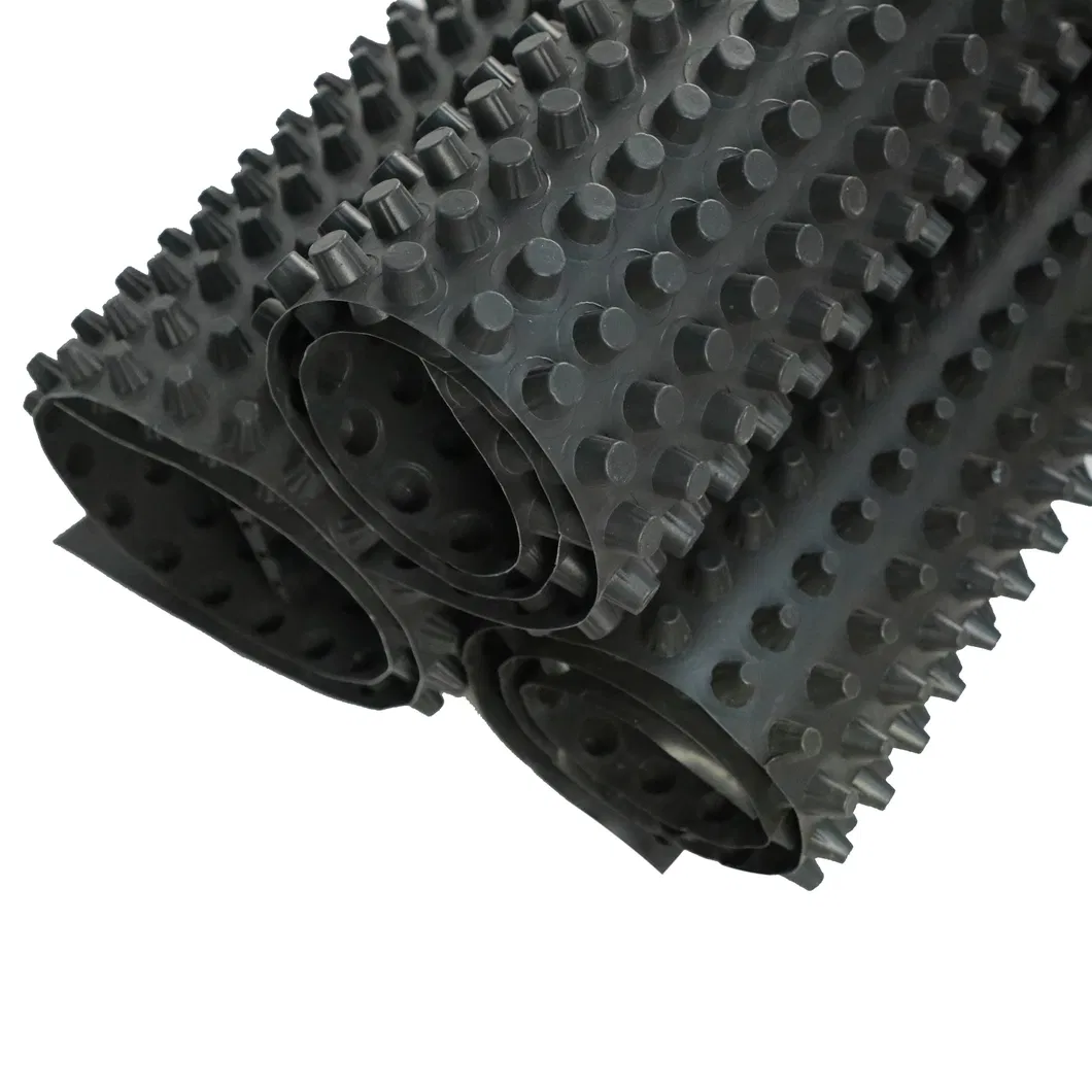 Roof Dimpled Drainage Membrane Board Drainage Ditch Board And Versatile Wall Board For Drainage Solutions 7