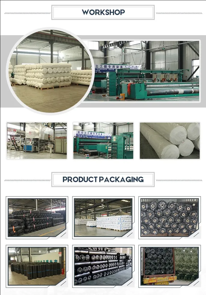 Two Layers And One Film Reservoir Seepage Control Composite Geomembrane In Landfill Tailings Treatment 4