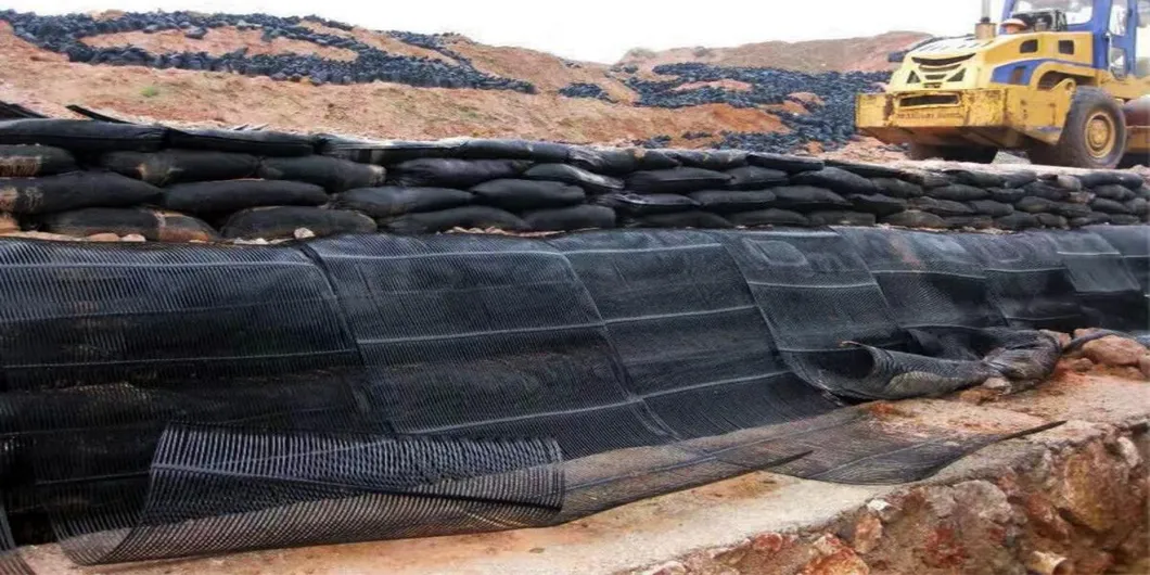 PP Plastic PE One-Way Uniaxial Polyester Geogrid Gravle Grid Ground Stabilizer for Soil Reinforcement 1