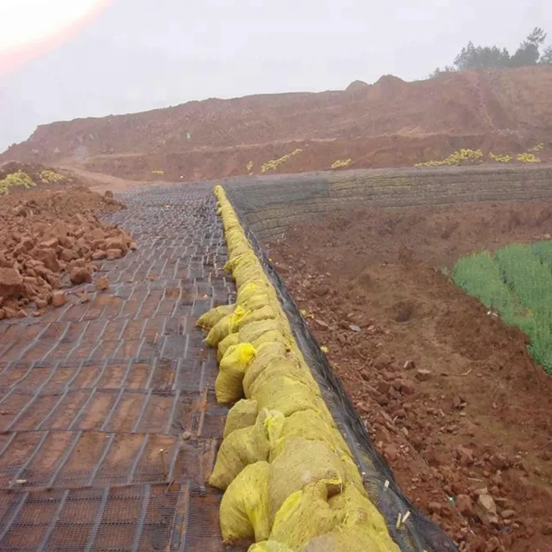 Plastic Polypropylene PE Unidirectional Uniaxial Tensile Plastic Geogrid for Roadbed Reinforcement 5