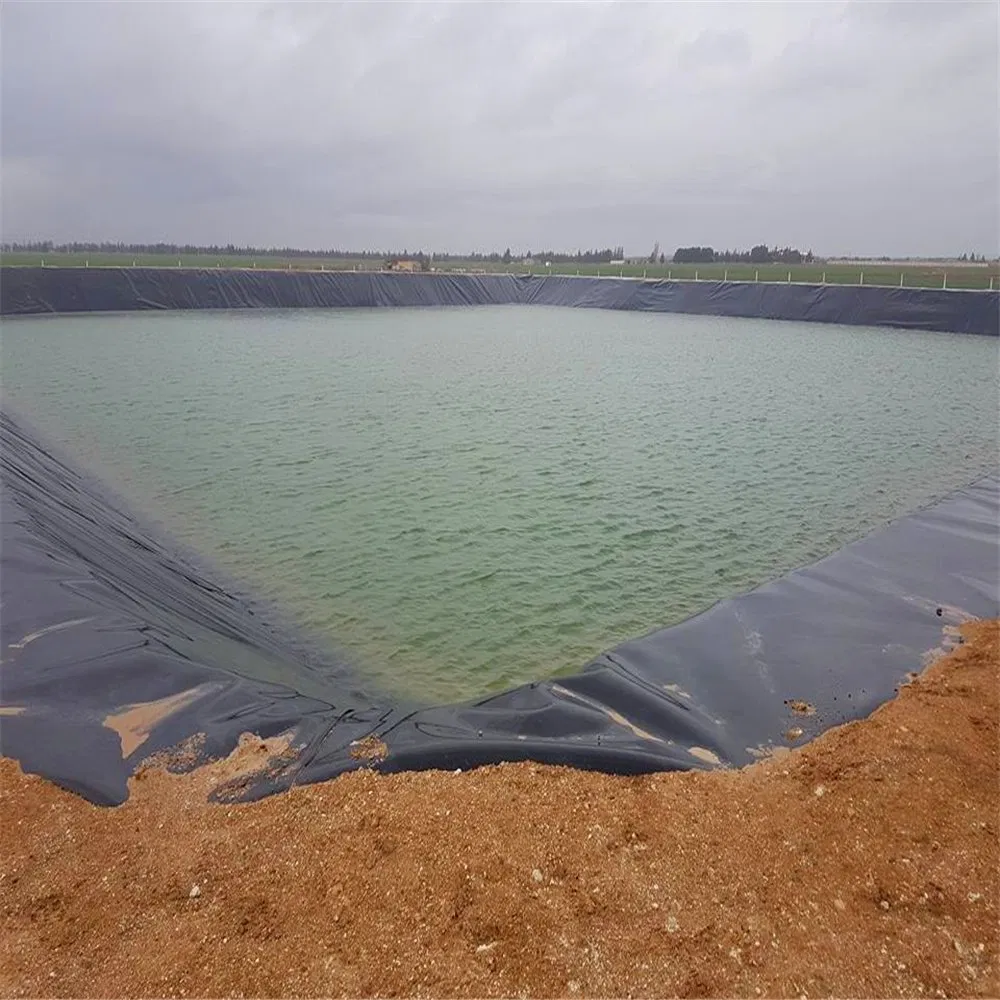 Outdoor Polyethylene Fish Farm Geomembrane Pond Liner HDPE Containment Liner Large Pond Liner Waterproof Geomembrane Pond Liner 2