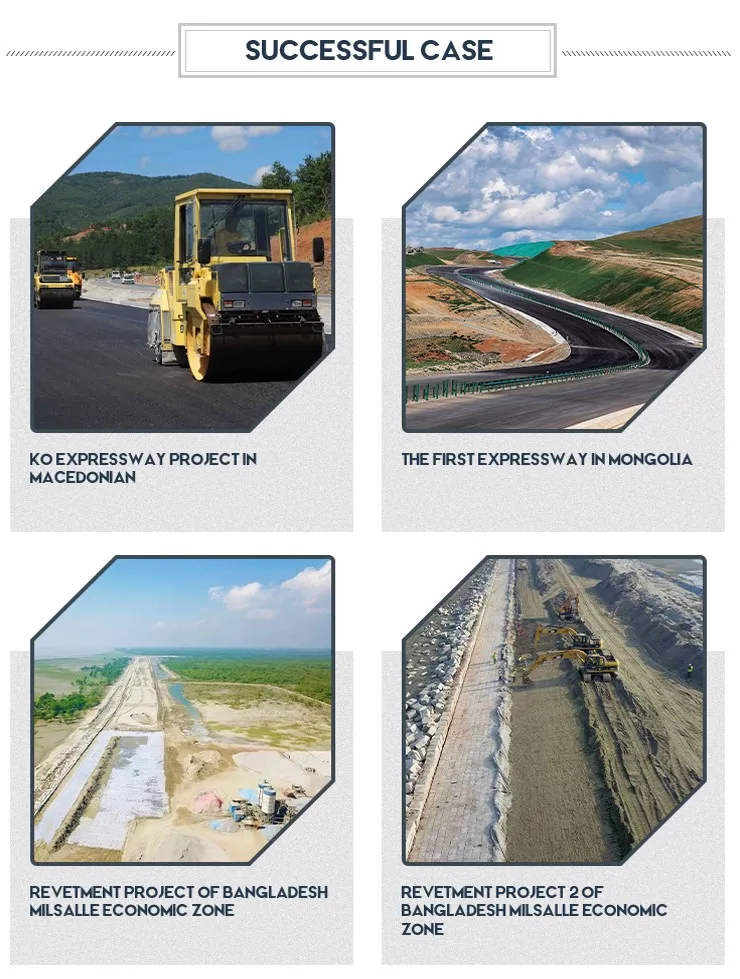 Cost-Effective Polymeric Geocomposite Strip Geogrid for Reinforced Soil Structures 5