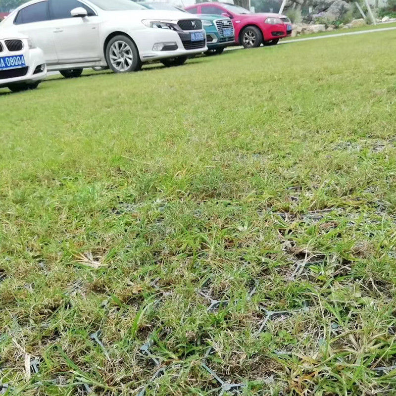 200ton/Sqm Interlocking Turf Plastic Car Parking Grid For Parking Lot Reinforcement