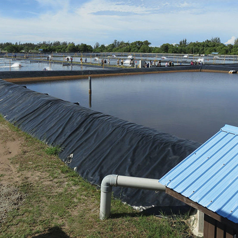 Waterproof HDPE Geomembrane Pond Liner For Water Tanks Fish Shrimp Farm 0.2 - 2.5mm