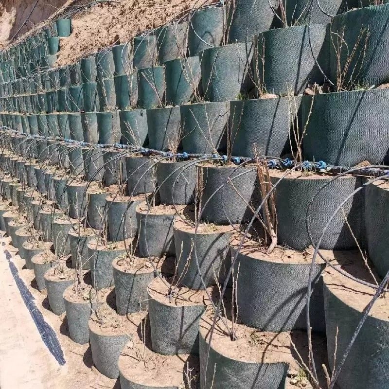 Corrosion Resistant HDPE Plastic Geocell Ground Grid Used In Road Construction