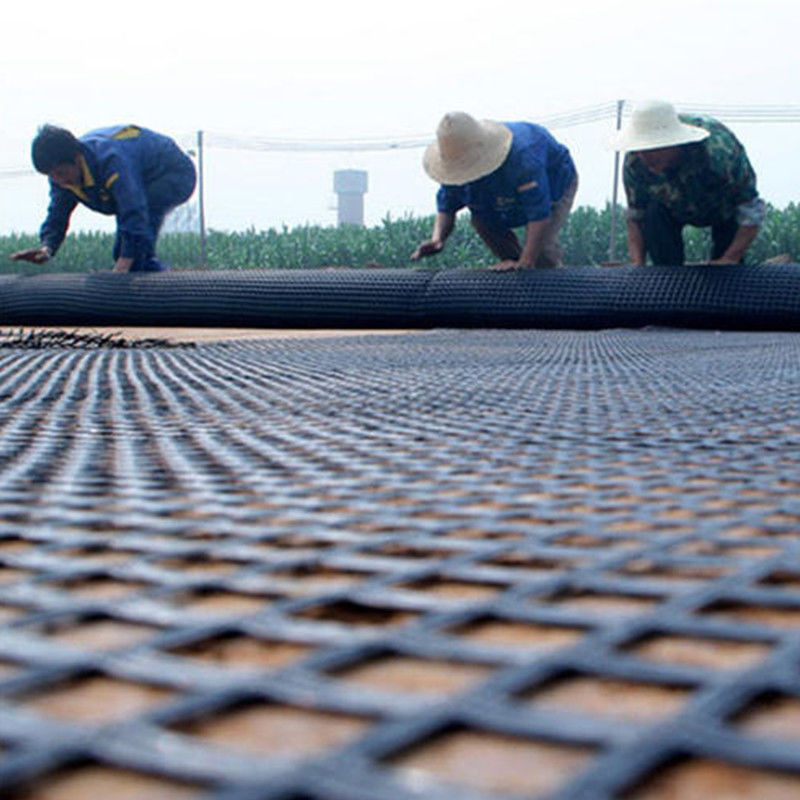80kn Steel Plastic Geogrid With Acid And Alkali Resistance For Slope Protection Subgrade