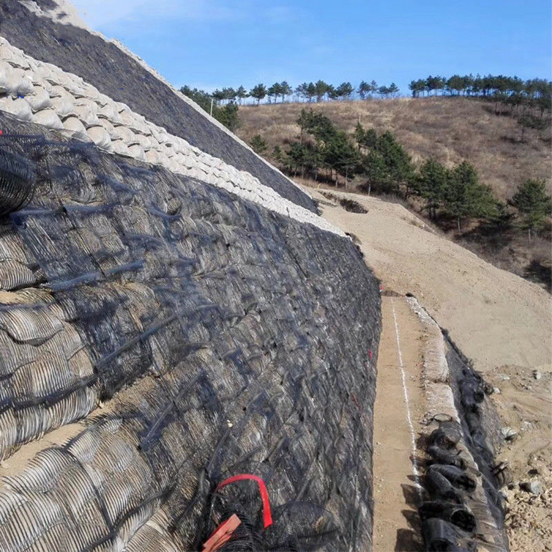 Pp Uniaxial Plastic Geogrid Pe One-Way Geogrid Uniaxial Polyester Geogrid Gravle Grid Ground