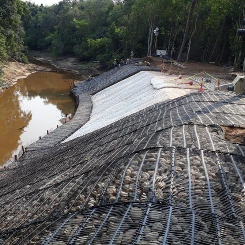Pp Uniaxial Plastic Geogrid Pe One-Way Geogrid Uniaxial Polyester Geogrid Gravle Grid Ground