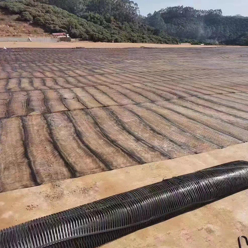 Pp Uniaxial Plastic Geogrid Pe One-Way Geogrid Uniaxial Polyester Geogrid Gravle Grid Ground