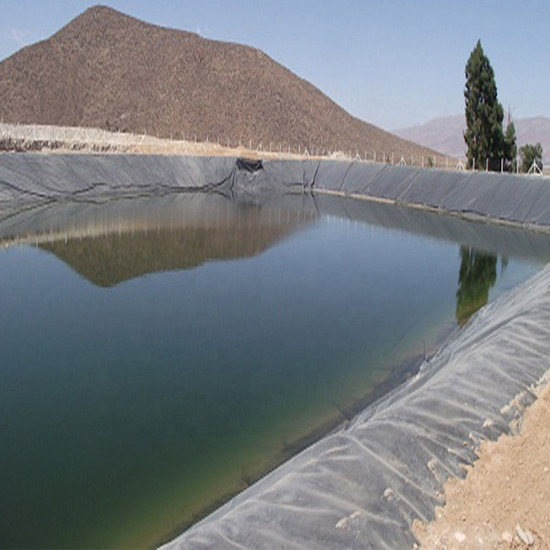 0.3mm/0.5mm/0.75mm/1mm/1.5mm/2mm Black Membrane Plastic Sheet HDPE LDPE LLDPE Virgin Geomembrane Liner For Shrimp Fish F