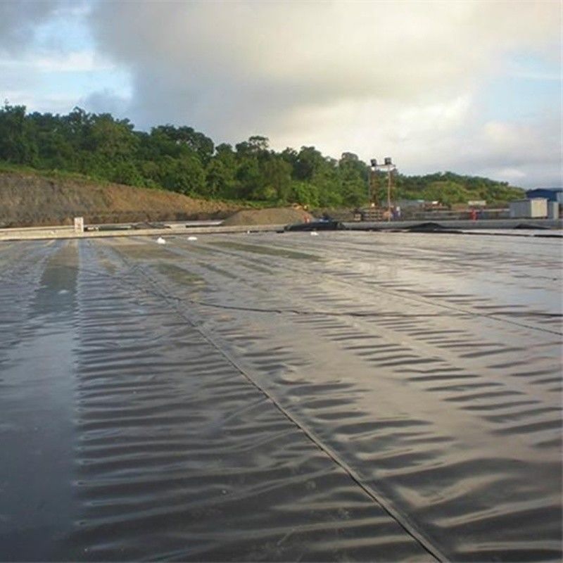 0.5mm 1mm 1.5mm Plastic Waterproof Aquaculture Geomembrane Hdpe Liner Fish Farm Wholesale Geomembrane Pond Liner