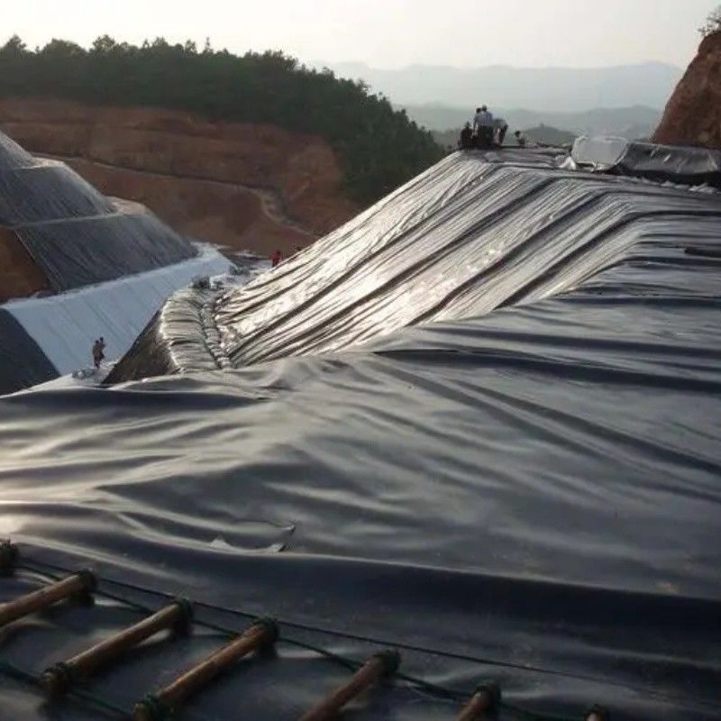 0.5mm 1mm 1.5mm Plastic Waterproof Aquaculture Geomembrane Hdpe Liner Fish Farm Wholesale Geomembrane Pond Liner