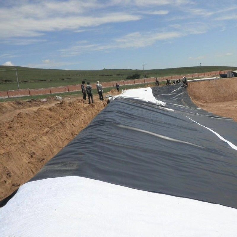0.5mm 1mm 1.5mm Plastic Waterproof Aquaculture Geomembrane Hdpe Liner Fish Farm Wholesale Geomembrane Pond Liner