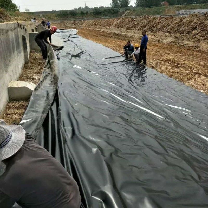 0.5mm 1mm 1.5mm Plastic Waterproof Aquaculture Geomembrane Hdpe Liner Fish Farm Wholesale Geomembrane Pond Liner