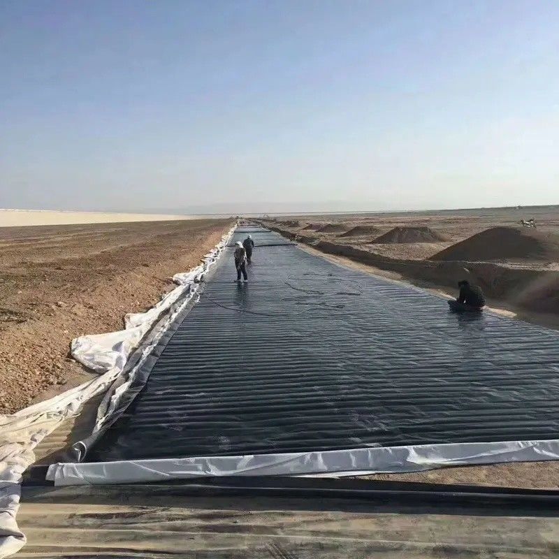 0.5mm 1mm 1.5mm Plastic Waterproof Aquaculture Geomembrane Hdpe Liner Fish Farm Wholesale Geomembrane Pond Liner