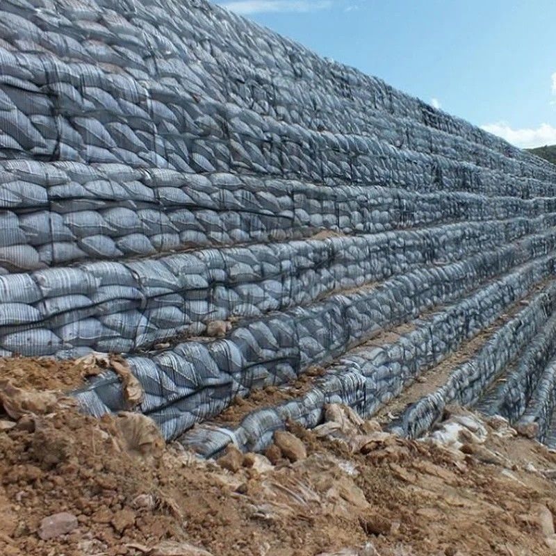 Geo Grid Ground Grid Plastic Uniaxial Polyester Geogrid Uniaxial Gravle Grid Ground For Driveway Basement
