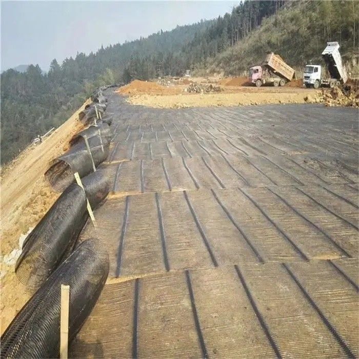 Geo Grid Ground Grid Plastic Uniaxial Polyester Geogrid Uniaxial Gravle Grid Ground For Driveway Basement