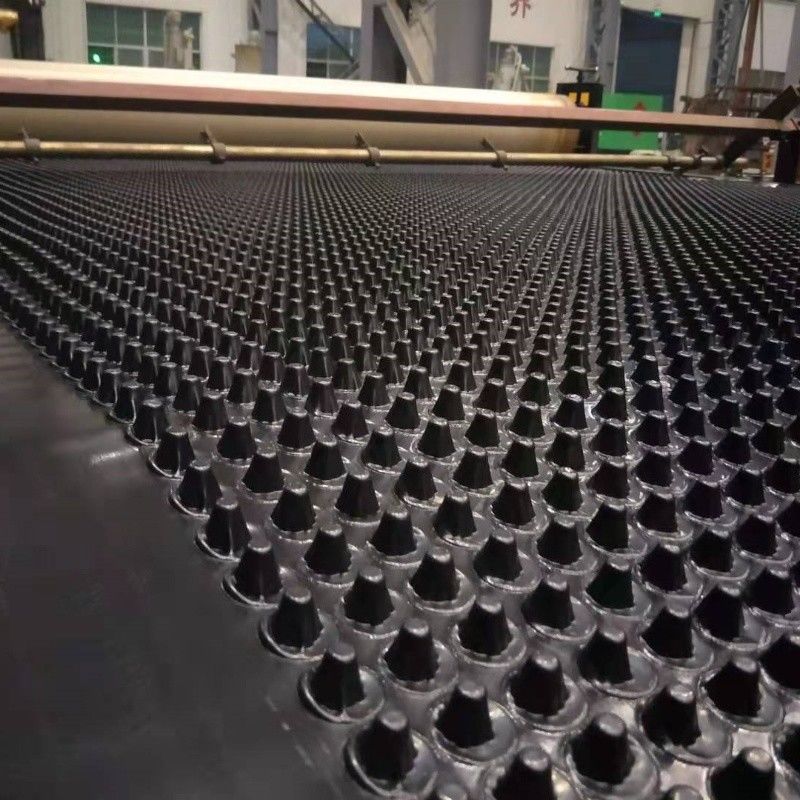 Dimpled Drainage Membrane Greening Project PVC Perforated Dimple Drainage Board Groundwork Water Solution Water Solution