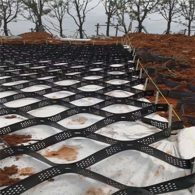 High Honeycomb Black HDPE Geocell Reinforcement Driveway For Road Gravel Stabilizer Grid Retaining Wall Embankment