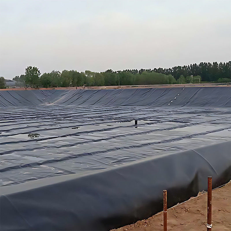 ASTM 100% Virgin Waterproof Aquaculture Pond Liner High Density HDPE Geomembrane Dam Pond Liner