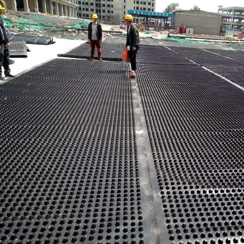 Roof Dimpled Drainage Membrane Board Drainage Ditch Board And Versatile Wall Board For Drainage Solutions