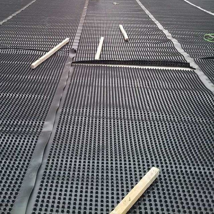 Roof Dimpled Drainage Membrane Board Drainage Ditch Board And Versatile Wall Board For Drainage Solutions