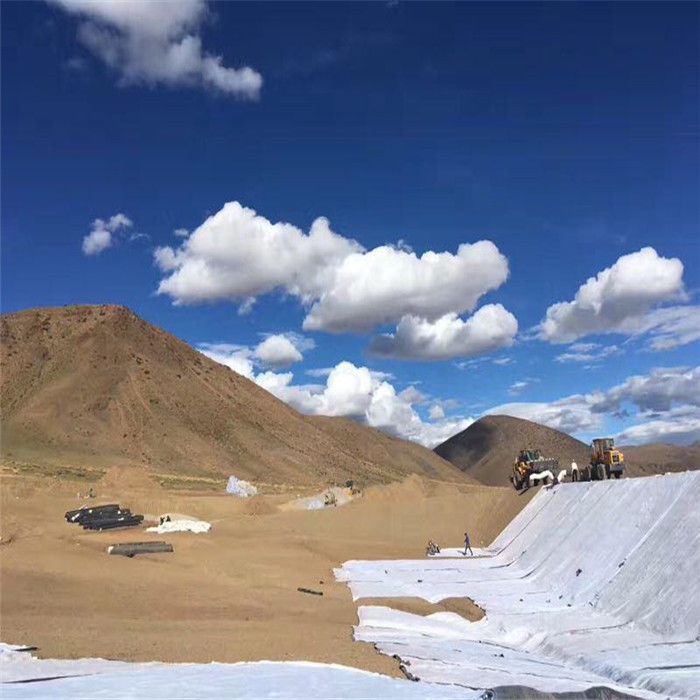 PET  Polyester Long Fibers Nonwoven Needle Punched Polyester Geotextile Non-Woven Geotextile For Road Covering