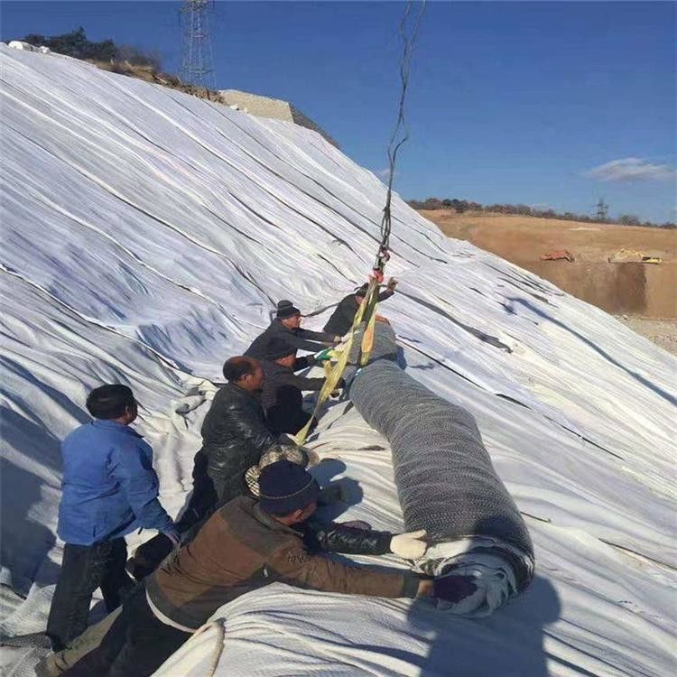 Pond Anti-Seepage Geosynthetic GCL Clay Liner Mat Gcl Bentonite Geosynthetic for Landfill