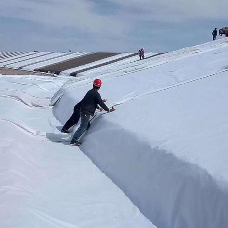 White Black Non-woven Needle Punched Geotextile PET PP For Road Highway Railway