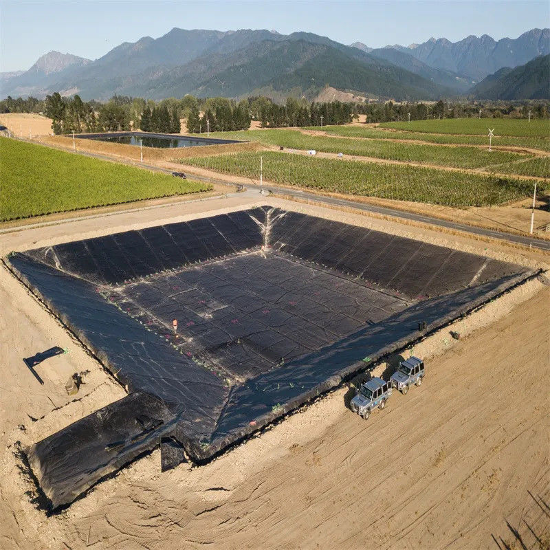 HDPE High Definition Polyethylene Liner Industrial Design Style for Fish and Shrimp Farm Ponds Balck Waterproof