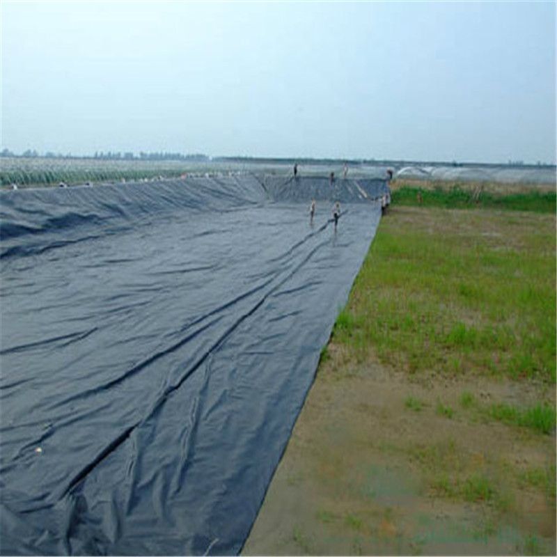 Durable Black HDPE Geomembrane Pond Liner 0.5mm–2.0mm for Circular Fish Tanks, Aquaculture Ponds, Water Storage Reservoirs and Dam Waterproofing Applications
