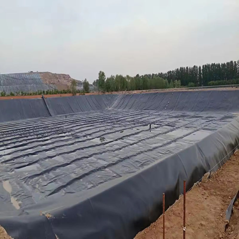 Customized HDPE LDPE LLDPE PVC Geomembranes Pond Liner for Fish and Shrimp Pond & Reinforced Polyethylene Pond Liner