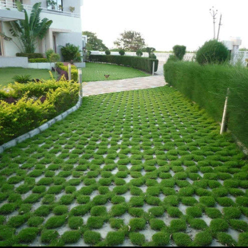 Plastic Grass Grid for Parking Lot Fire Exit HDPE Pavers Geogrid for Landscape Ground Geocell Gravel Paddock Grid